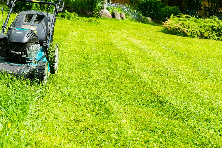 84666371_s Mowing lawns, Lawn mower on green grass, mower grass equipment