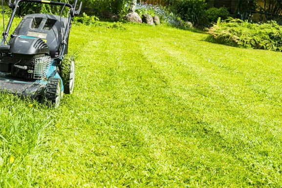 lawn-mower(1) Mowing lawns, Lawn mower on green grass, mower grass equipment